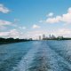 View of Tampa, FL