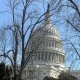 pact2011capitol